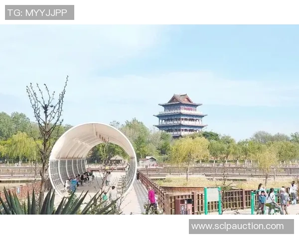 足球的地带探索与文化交融的奇妙旅程